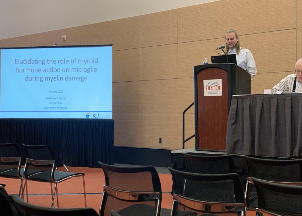 Man presents seminar at conference
